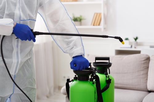 Disinfection Cleaning